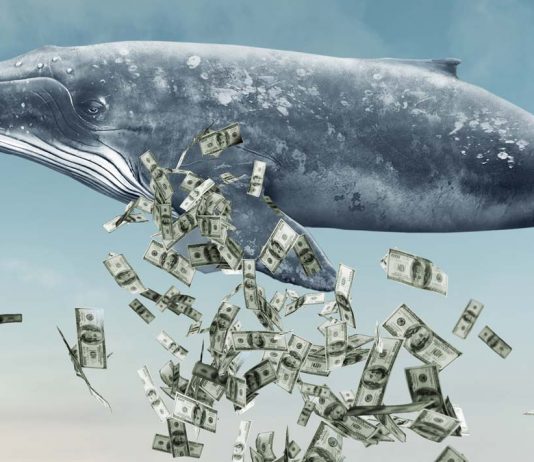 How OTC trading is affecting the bitcoin rate