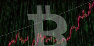 Bitcoin cost – LIVE: Cryptocurrency worth plunges listed below $7,000