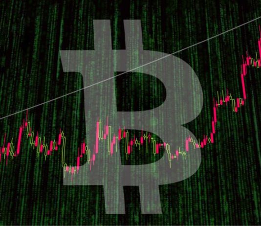Bitcoin cost – LIVE: Cryptocurrency worth plunges listed below $7,000