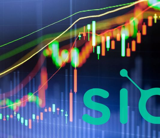 Cryptocurrency Market Update: Siacoin Leading Monday Momentum
