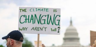 How Blockchain Can Promote Sustainability and Ward Off Environment Modification