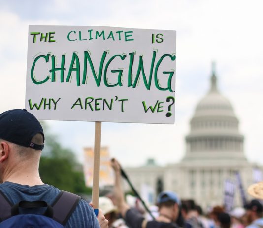 How Blockchain Can Promote Sustainability and Ward Off Environment Modification