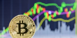 Fidelity Becomes First Wall Street Company to Introduce Crypto Branch Trading Desk