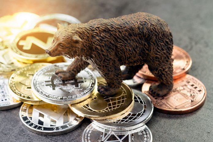 cryptocurrency bear market