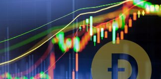 Cryptocurrency Market Update: Dogecoin Rebounding