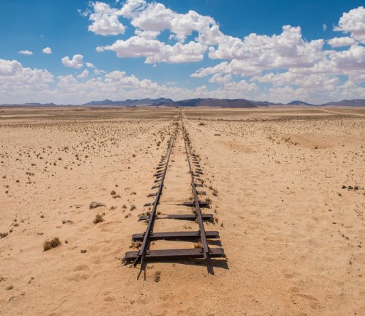 IBM Study: No Significant Reserve Bank Will Implement CBDCs in the Near-Term IBM Study: No Significant Reserve Bank Will Implement CBDCs in the Near-Term