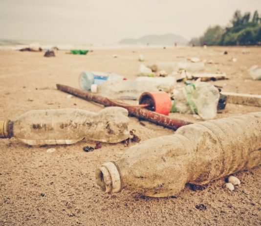 Plastic Bank to Tackle Contamination and Hardship in Indonesia with Crypto