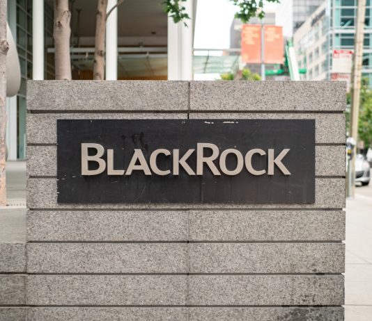 BlackRock to Wait Up Until Crypto Market is Legitimate Prior To Using ETF