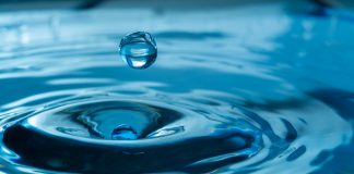 Altcoins Drop After Week of Gains, Bitcoin Steady Near $6,500