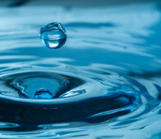 Altcoins Drop After Week of Gains, Bitcoin Steady Near $6,500