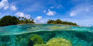 Marshall Islands President Makes It Through Vote of No Self-confidence over State Crypto Plans
