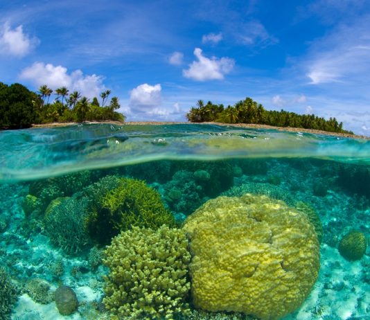 Marshall Islands President Makes It Through Vote of No Self-confidence over State Crypto Plans