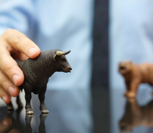 Bullish Signals: Binance Employer Forecasts Year End Crypto Bull Run