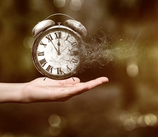 Time-Travel Crypto As Soon As Backed by Trump-Appointed Performing Chief Law Officer