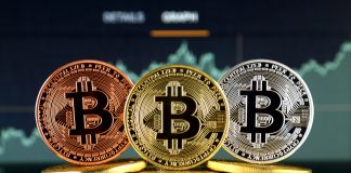 Crypto Specialists Slash Bitcoin Cost Forecasts: Reality is, Nobody Knows