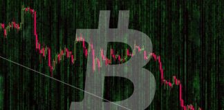 Cryptocurrencies will end up being useless– and this is what will occur when they crash