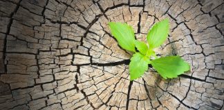 Enormous Opportunities: Blockchain Capital Partner Promotes Crypto Bullishness