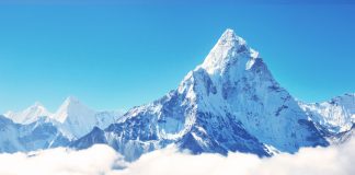 Bitcoin Bounces Off $3,500, Experts Doubtful That Crypto Bottom Remains In