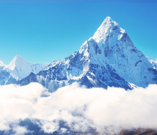 Bitcoin Bounces Off $3,500, Experts Doubtful That Crypto Bottom Remains In