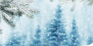 Blockstack CEO: Crypto Winter Season is Here However the Next Wave Will be Huge