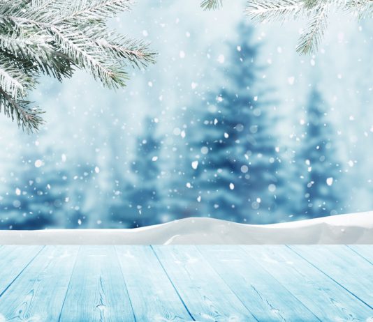 Blockstack CEO: Crypto Winter Season is Here However the Next Wave Will be Huge