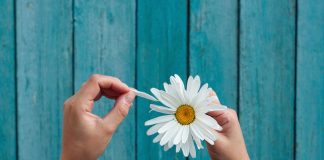 Financier: China Has a “Love-Hate” Relationship with Crypto and Blockchain