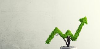 Cryptocurrencies Rally as Bitcoin Relocations Above $4,000 for Very First Time Given That Dropping