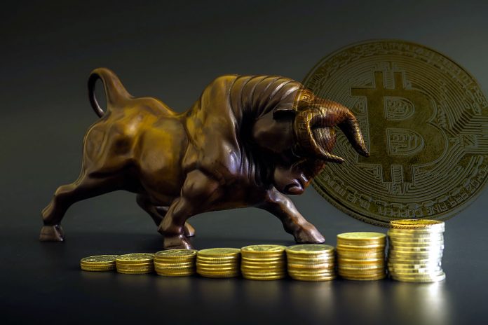 Organizations Still Bullish On Crypto: Grayscale Owns 1% of All Bitcoin