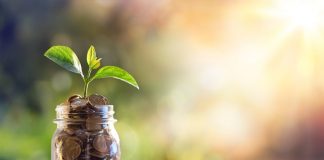 Kik Starts Rollout of Crypto Community with Kin Tipping Function