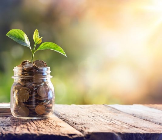 Kik Starts Rollout of Crypto Community with Kin Tipping Function