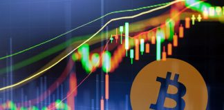 Cryptocurrency Market Update: The Only Thing Climbing is Bitcoin Supremacy