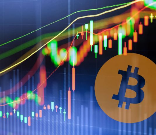 Cryptocurrency Market Update: The Only Thing Climbing is Bitcoin Supremacy