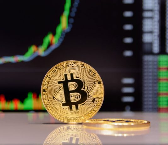 Bitcoin Sets Fresh 2018 Low at $3,200, Altcoins Plunge