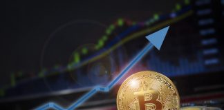 Bitcoin Cost Increases 5% as Crypto Markets Dive