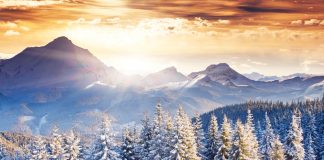 Bitcoin Will Likely Make It Through the Crypto Winter Season Prior To Any Other Crypto Property