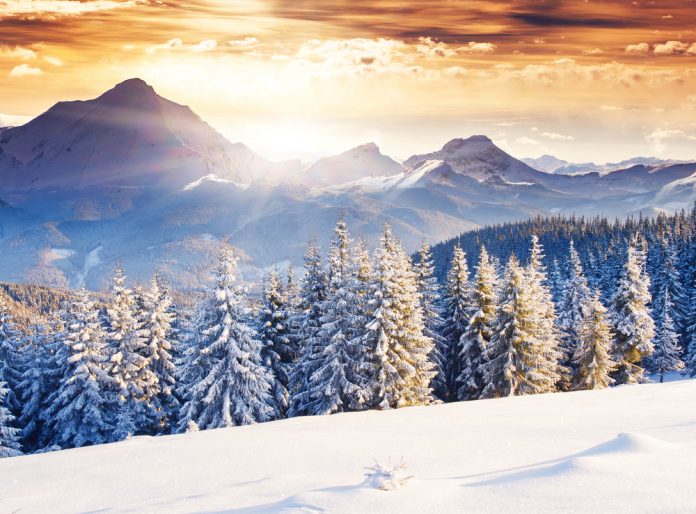 Bitcoin Will Likely Make It Through the Crypto Winter Season Prior To Any Other Crypto Property Bitcoin Will Likely Make It Through the Crypto Winter Season Prior To Any Other Crypto Property