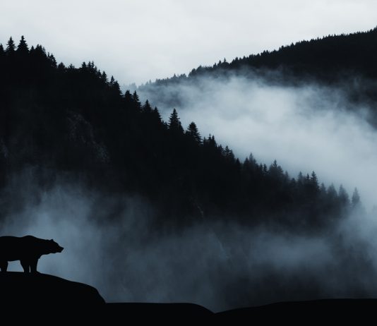 Bitcoin Rally Should Not Delight the Bulls Yet, Pattern Still Bearish