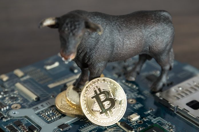Bitcoin Cost 2019: Market Experts Anticipate BTC’s Future