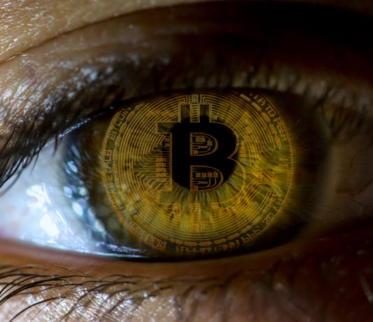 Crypto and Bitcoin Ransom: A Quickly Growing Pattern Crypto and Bitcoin Ransom: A Quickly Growing Pattern