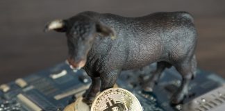 Bitcoin Bounces to Above $3,700 Leading the Crypto Markets to Rise