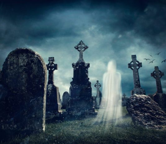 Crypto Designer Stops Sanctuary Procedure (XHV), Is it Dead?