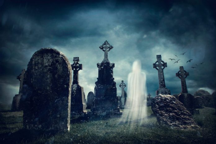 Crypto Designer Stops Sanctuary Procedure (XHV), Is it Dead?