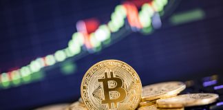 Celebs Might Be Scooping Up Millions Worth Of Bitcoin Celebs Might Be Scooping Up Millions Worth Of Bitcoin