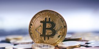 VCs are Anticipating Crypto Market to Provide Enormously in 2019, Will Rate Show it? VCs are Anticipating Crypto Market to Provide Enormously in 2019, Will Rate Show it?