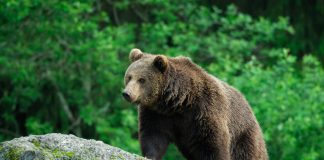 Crypto Exchanges Begin to Shutdown: Bearishness completely Force