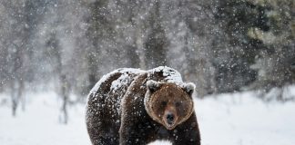 Tether Replaces EOS to End Up Being fourth Largest Crypto, Reveals Market is Extremely Weak