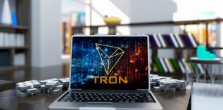 TRON and Binance Optimistic on BitTorrent However Expert States it Might be Overplayed