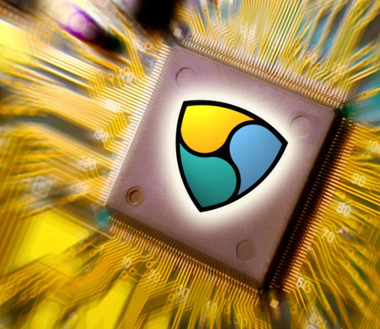 1-Month Left of Financing: Hack and Crypto Winter Season Offer NEM a Significant Blow