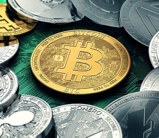Pantera Capital CEO: Crypto Basics are Much More Powerful than in 2014-15