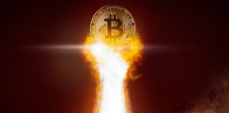 From $20 K to $3K and Back: How Bitcoin Rate Counters Belief in the Crypto Market